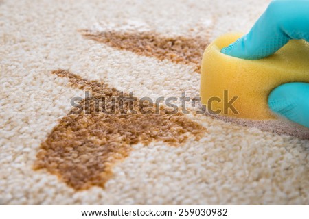 Close-up Of Person\'s Hand Cleaning Stain On Carpet With Sponge