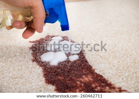 Close-up Of Person\'s Hand Cleaning Stain On Carpet