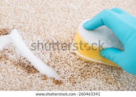 Close-up Of Person\'s Hand Cleaning Carpet With Sponge