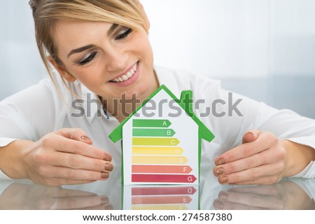 Happy Businesswoman Showing Energy Efficient Chart On House Model In Office