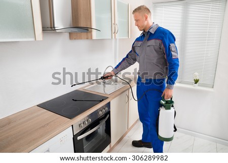 Young Male Pest Control Worker Spraying Pesticide On Induction Hob In Kitchen