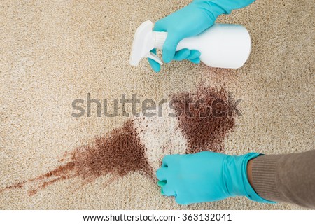 High angle view of hand cleaning red wine fallen on rug at home