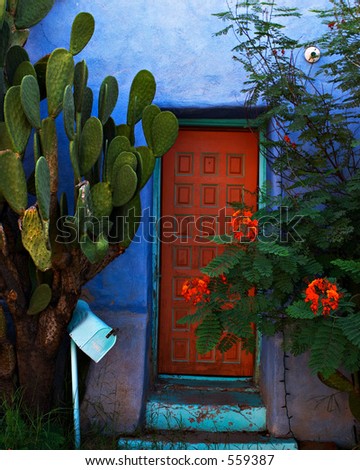 Old orange door with plants and cactus