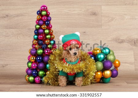 Toy poodle puppy near a decorative Christmas tree on wooden background