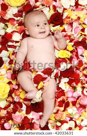 Small cute boy in rose-petals