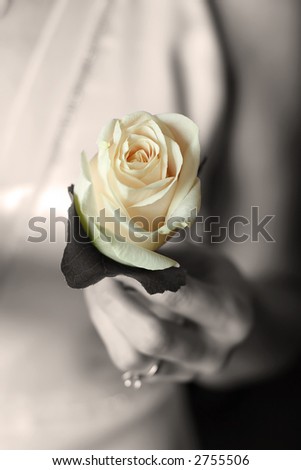 Wedding  - flowers  - sepia
