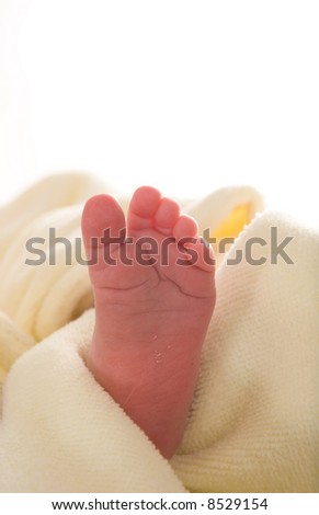 Little baby foot  - 10 days old