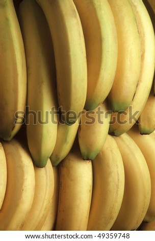 Bunches of yellow bananas with green tip. Vertical