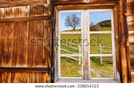 View  through the wooden windows