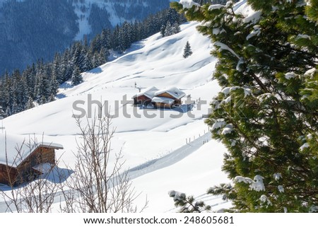 Ski lodge and cottage in the snowy Alps