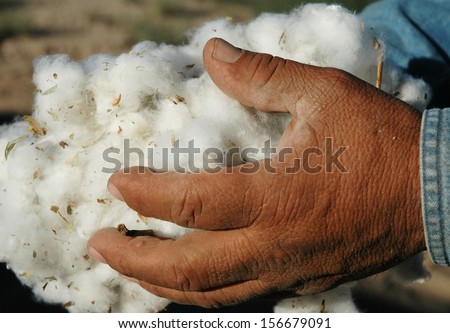Handful Of Cotton