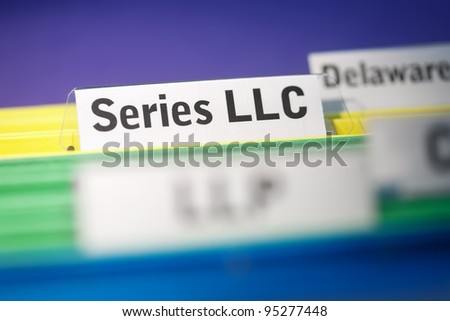 Series limited liability company, LLC business organization