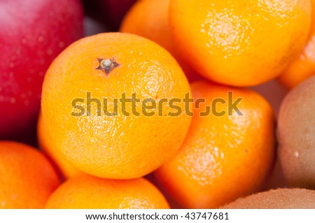 Fruit on a white background