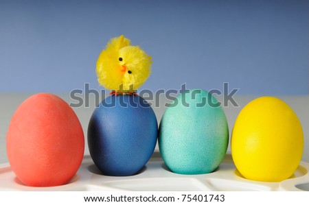Row of colored easter egg and small toy chicken