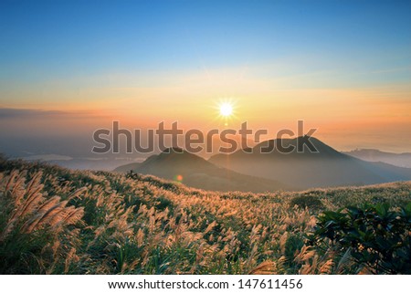 Sunset with silver-grass over Yangmingshan National Park