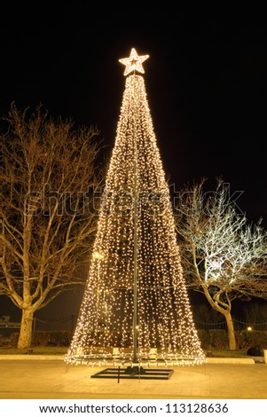 Christmas tree at night, in plaza