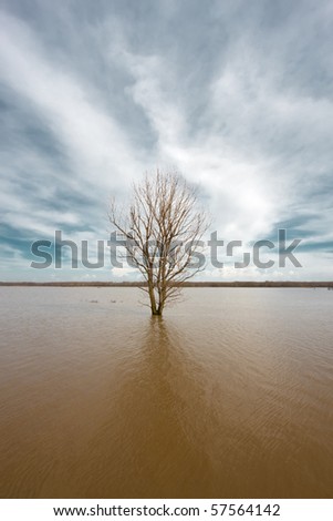 Flooded Evros river - physical border between Greece and Turkey