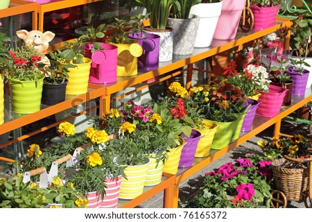 Flowershop on Flower Shop Outdoor Stand With Colorful Flower Pots Stock Photo