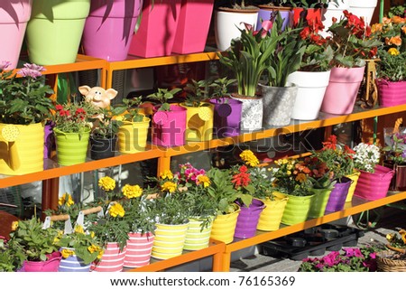 Flowers Shop on Flower Shop Outdoor Stand With Colorful Flower Pots Stock Photo