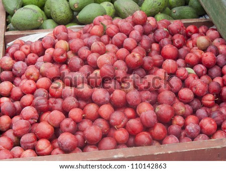 Plums and Avocados on market - Prunus americana in San Jose, Costa Rica