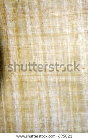 Ancient Scroll of Papyrus - shallow DOF - natural background