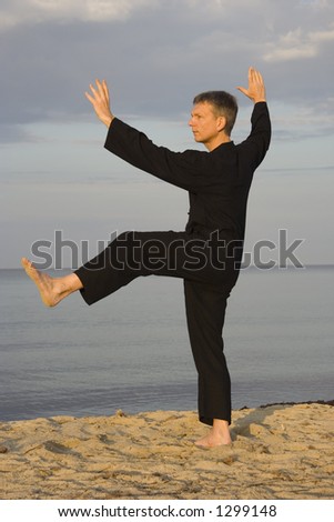 tai chi - posture kick with left heel - art of self-defense