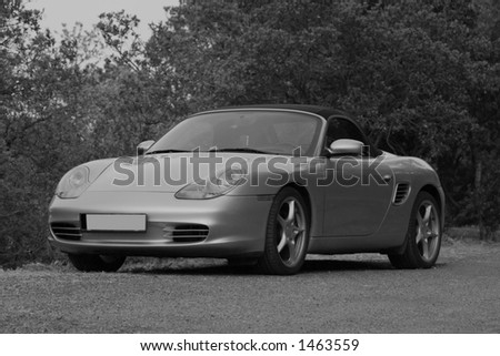 german sports car - black-and-white shot - shallow DOF