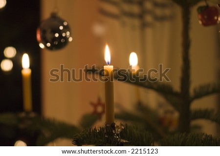 beeswax candles on a christmas tree - romantic lighting