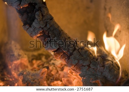 log fire in a fireplace - close-up of a burning log of wood
