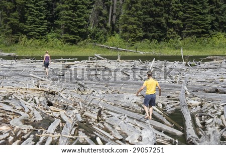 Dead Trees with young woman and her father , Canada