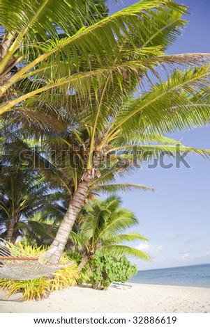 Tropical Beach with Hammock and Coco Palms