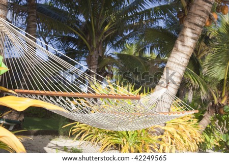 Hammock between two Coco Palms