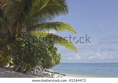 Tropical Beach with Palm Trees and Lounge Chairs - Rarotonga, Cook Islands, Polynesia