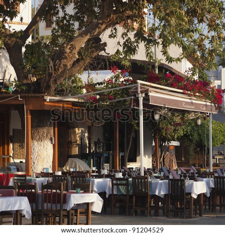 Restaurant under a tree in Kas - Kas, Antalya Province, Turkey, Asia
