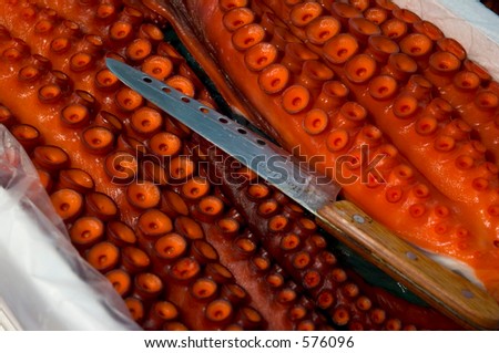 Octopus Sushi with Knife