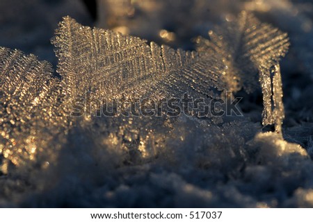 Jack Frost Ice Crystals
