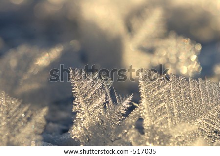 Jack Frost Ice Crystals
