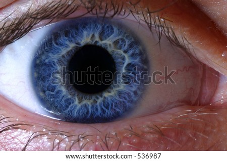 Natural Blue human Eyeball macro (minor enhancements)