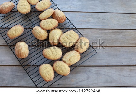 Madeleine cakes on baking rack