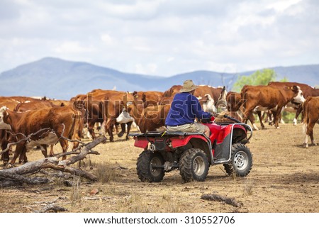 Australian farmer on quad bike