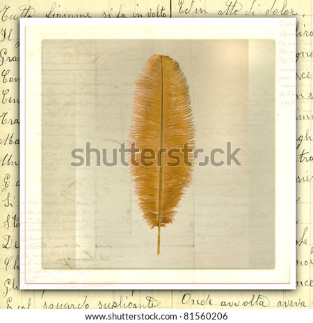 Gold writing quill with script and grunge textures