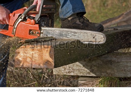 Chain saw cutting old timber for firewood