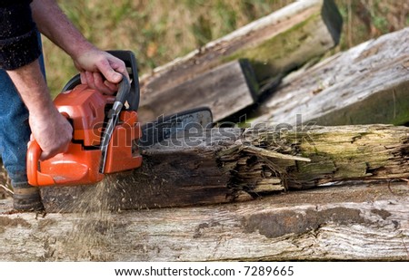 Chain saw cutting old wood
