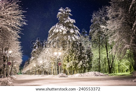 Winter snowy park in Riga, Latvia