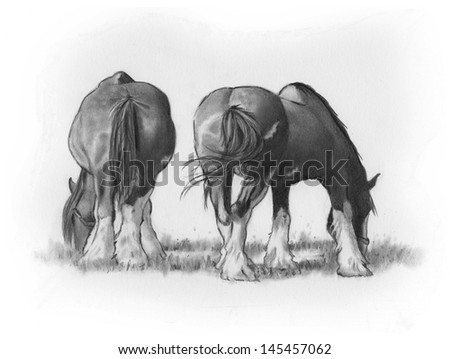 Draft Horses Grazing, Pencil Drawing