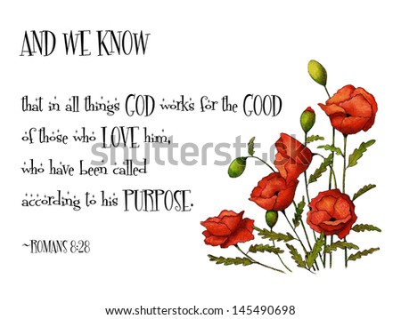 Bible Verse With Red Poppies: Passage from Romans 8:28, along with a freehand drawing of red poppy flowers.  God works for our good.