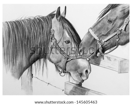 Pencil Drawing of Two Draft Horses Nuzzling: love between two horses nuzzle each other as they meet along a fence on a summer evening.