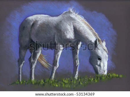 Easy Horse Drawings In Pencil. stock photo : Color Pencil