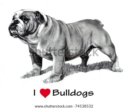 stock photo I Love Heart Bulldogs Pencil Drawing
