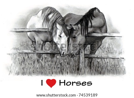 I Love (Heart) Horses: Pencil Drawing